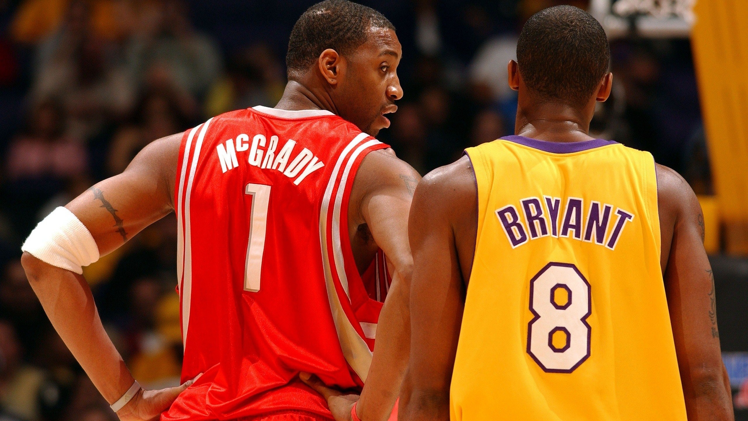 本次引援的 本次引援的